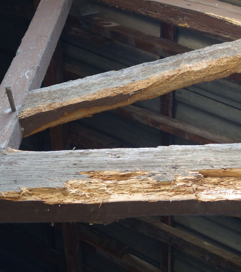 Charpente et traitement de charpente à Nogent-sur-Marne (94130) Dans le Val-de-Marne (94)